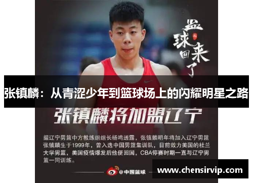 张镇麟：从青涩少年到篮球场上的闪耀明星之路